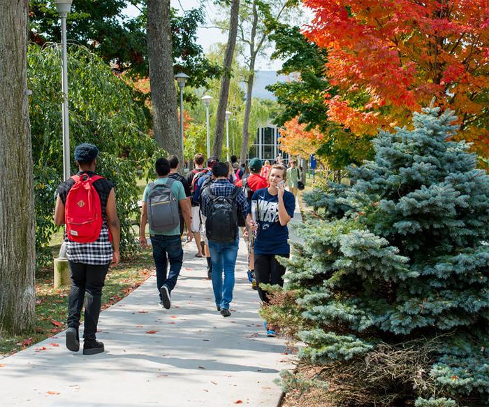 学生们在校园里步行上下课